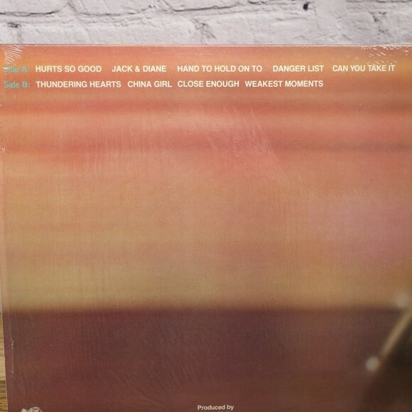 John Cougar "American Fool" Vintage Album LP Record Vinyl - Picture 4 of 5